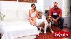 Pension pour chien : un service avec assurance comprise