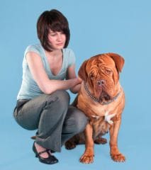 Maltraitance animale et violence faite aux humains