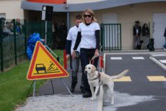 Handicap : les Chiens Guides d’Ile-de-France se mobilisent