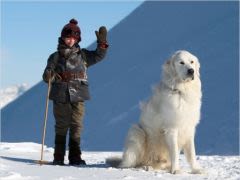 Belle et Sébastien : une série culte adaptée au cinéma