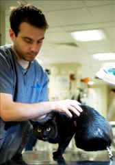Un vétérinaire « bionic » au service des chiens et chats