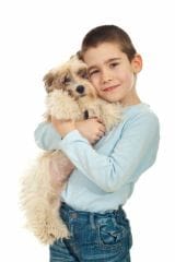 Asthme et les allergies : les chiens nous protègent