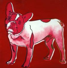 Bouledogue français : la passion d&rsquo;Yves Saint-Laurent