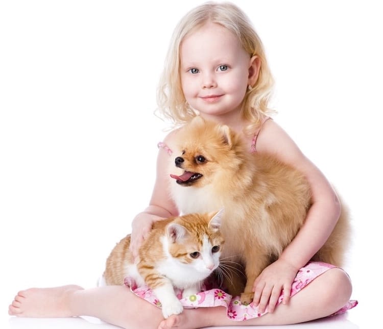 Vers : protégez votre famille et votre chien ou chat