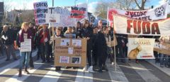 Maltraitance animale : 300 personnes manifestent à Angers