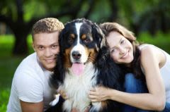 Sites de rencontres : cherche homme aimant les chiens