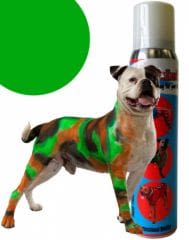 Teinture pour chien : ou comment taguer son animal !