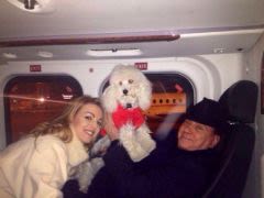 Berlusconi se sert des chiens et chats abandonnés pour
