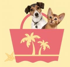 Chiens et chats : des conseils pour préparer les vacances
