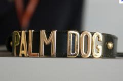 Cannes 2014 : quel chien remportera la Palm Dog ?