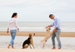 Vacances avec son chien ou chat : comment bien s’organiser