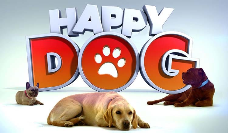 Comportement du chien : le défi de M6