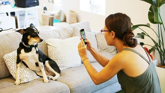 Une application gratuite pour photographier son chien