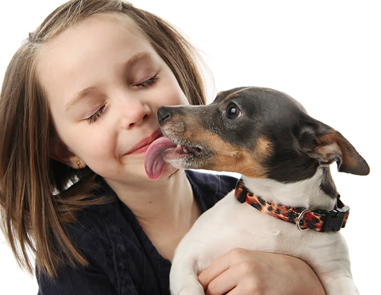 Vers du chien : quels sont les risques pour l’homme ?