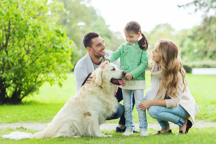 Rentrée  : il faut aussi la préparer avec son chien ou chat