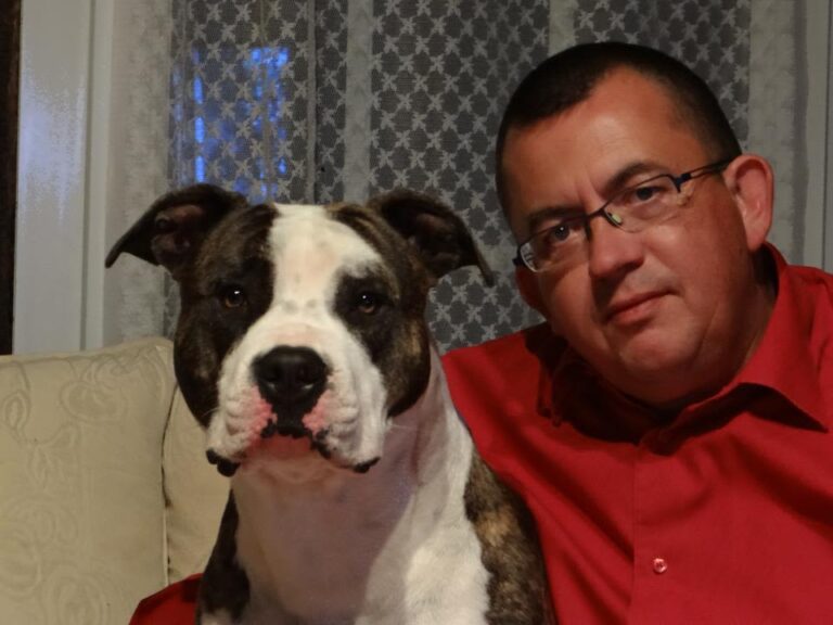 Amstaff : un livre réuni les chiens titrés en 2013