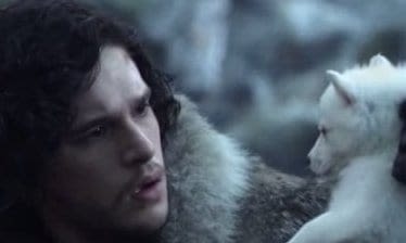 Le Husky : trop à la mode à cause d’une série TV