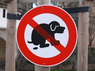 ADN de chiens contre maîtres inciviques