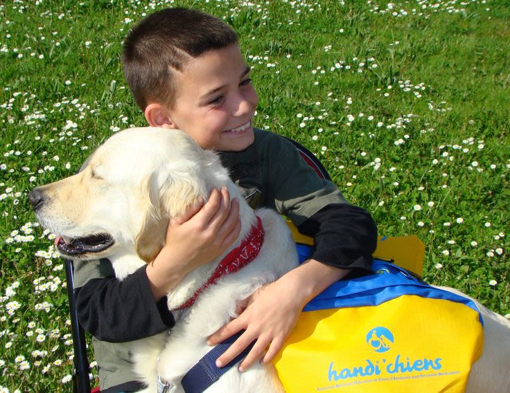 Collecte nationale pour les chiens d’aide aux handicapés