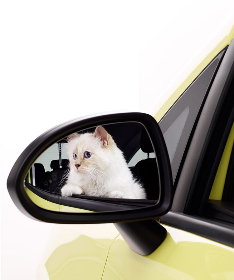 Choupette, chat star d’un calendrier automobile