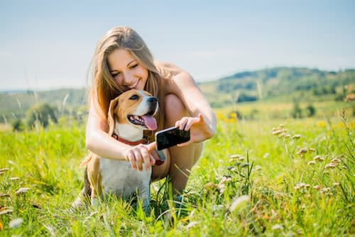 Un nouveau collier connecté pour animaux de compagnie