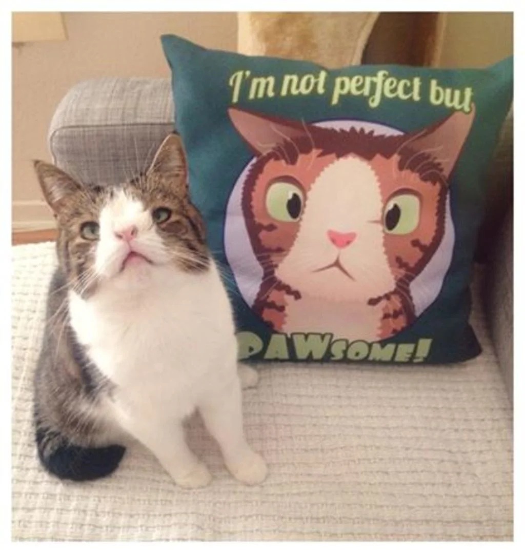 Monty produits d&eacute;riv&eacute;s
