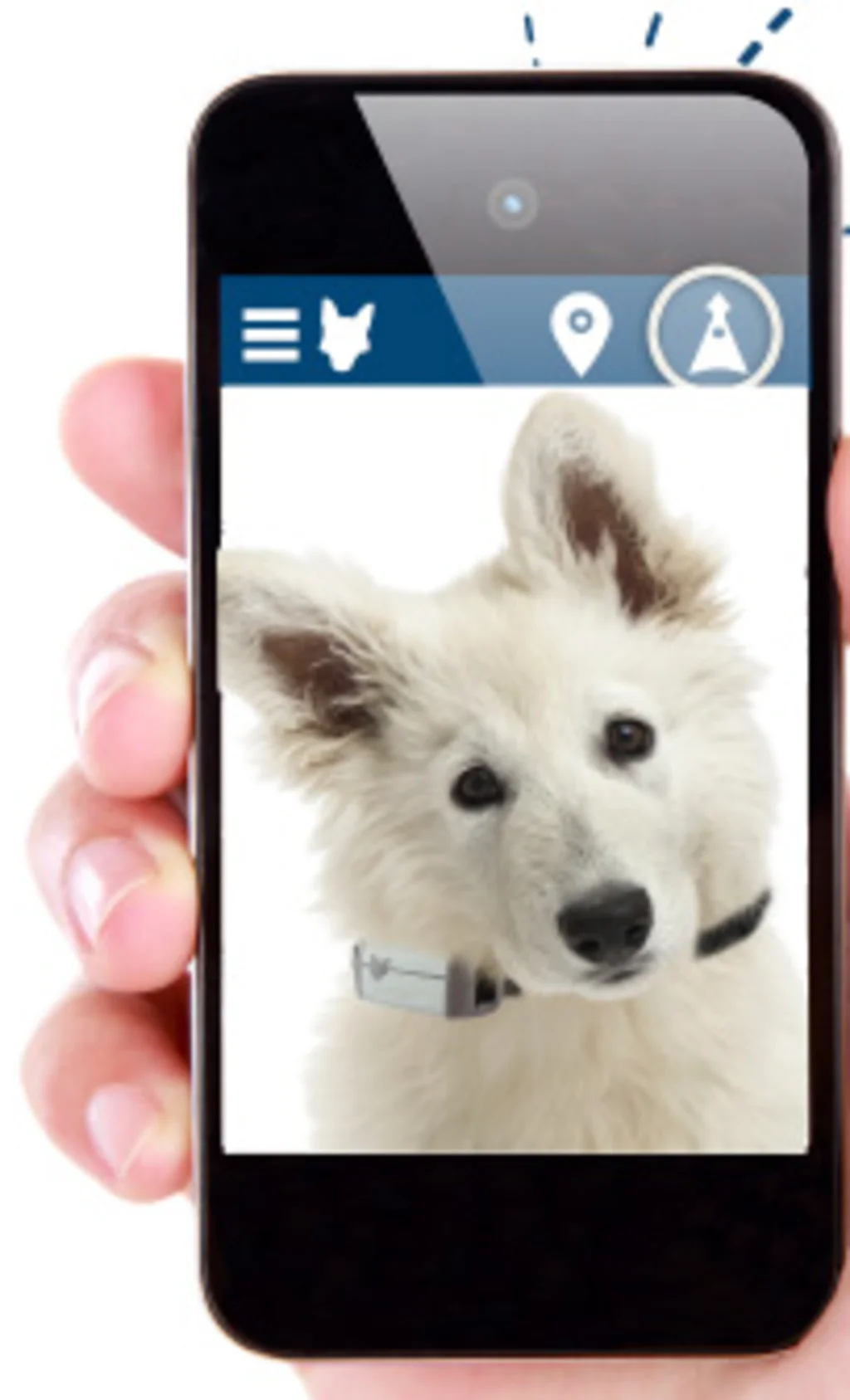 traceur gps w&eacute;kiki pour chien 3