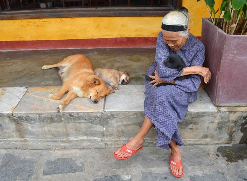 viande de chien et chat au vietnam