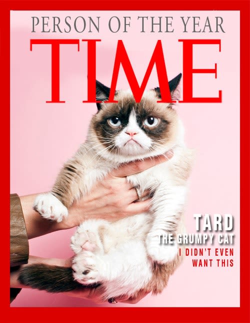 Grumpy Cat : un chat qui rapporte gros !