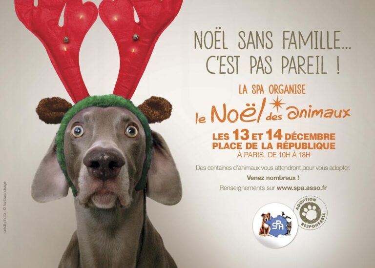 Adoption de chiens et chats : rendez-vous à la République !