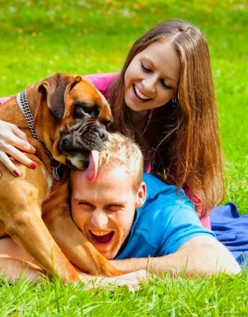  chien et couple