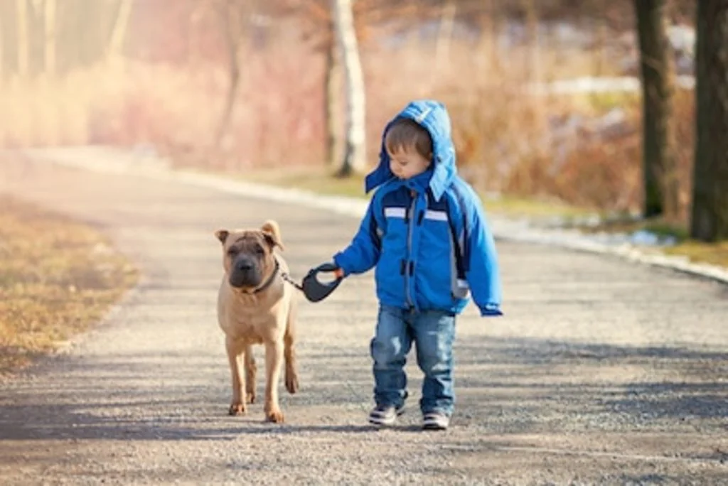 chiot et enfant 1