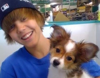 Justin Bieber rend hommage son chien épagneul nain