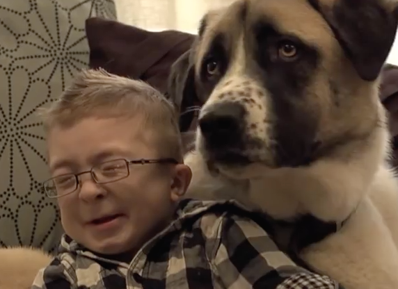 L’histoire émouvante d’un petit garçon et de son chien