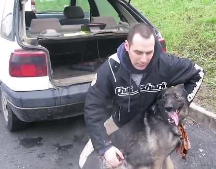 Un chien condamné à vivre dans le coffre d’une voiture