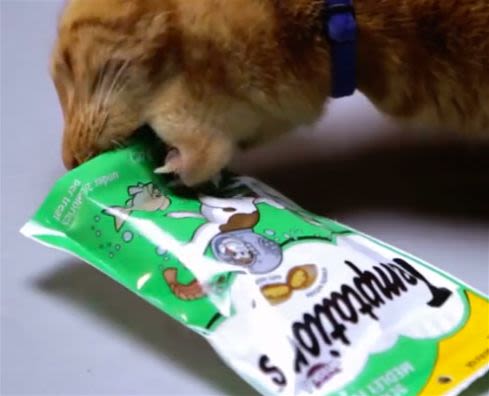 Friandises : les chats dévorent… la publicité !