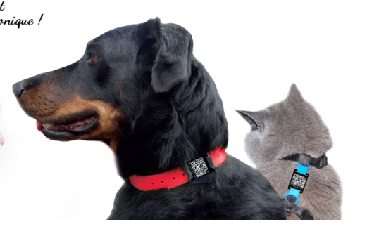 Un médaillon connecté pour chien ou chat perdu