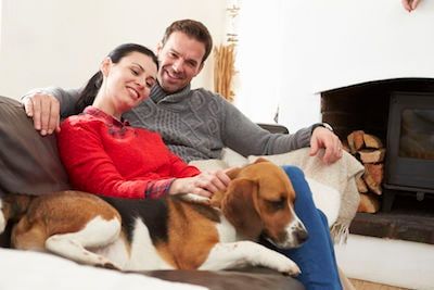Garde et pension : de nombreuses solutions pour les maîtres