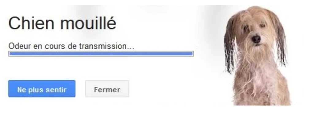 google nose odeur chien mouillé