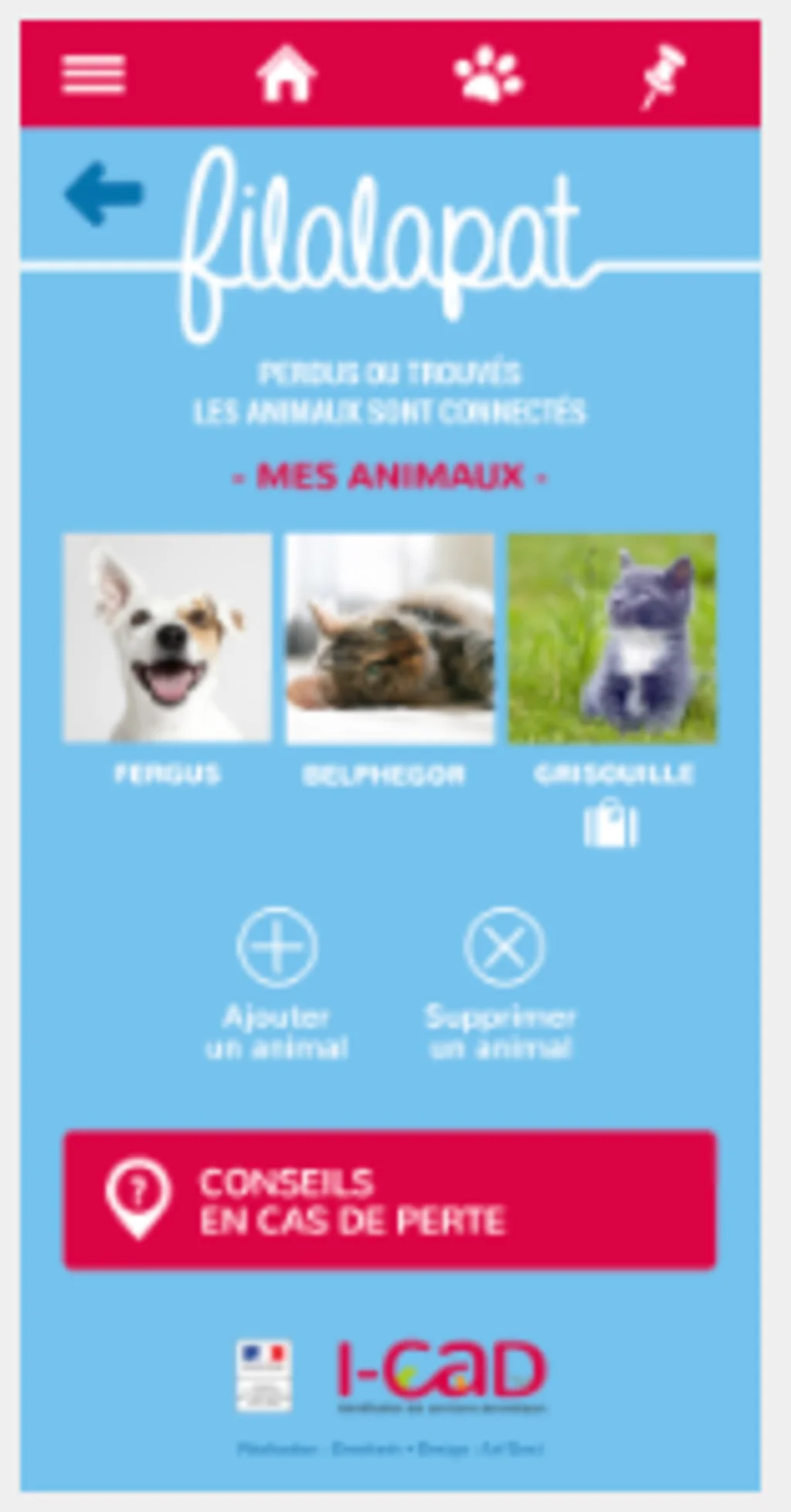 i-cad identification chien chat application chien chat perdu trouve