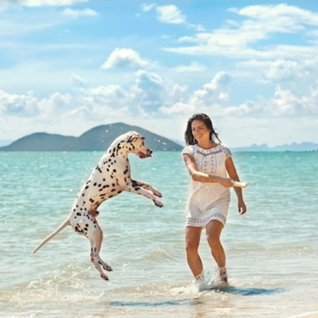 jouer avec son chien