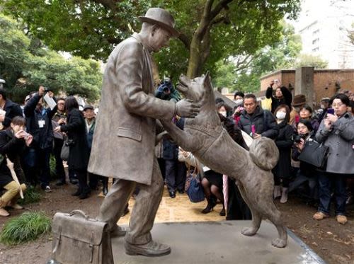Une statue en hommage à la fidélité d&rsquo;un chien japonais