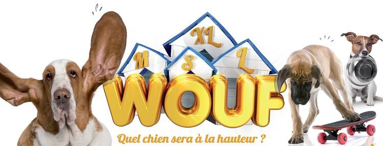 Télé : Wouf, le premier concours canin du PAF !