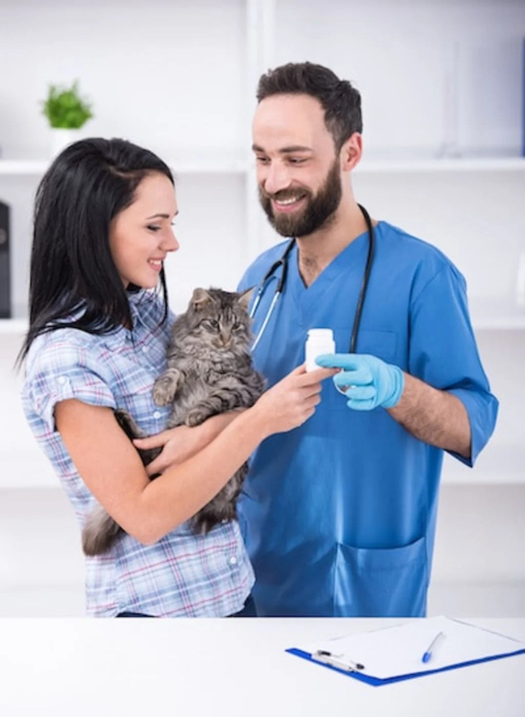 assurance sant&eacute; animale remboursement m&eacute;dicaments-2