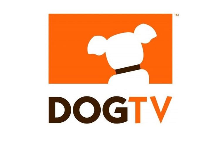Avec Dog TV, les chiens ont leur chaîne en France