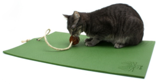 Tapis de Yoga pour chat : un accessoire pour chats joueurs