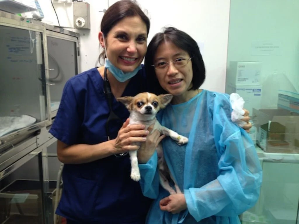 Dr sabine Bozon et Coby chihuahua de 6 kg