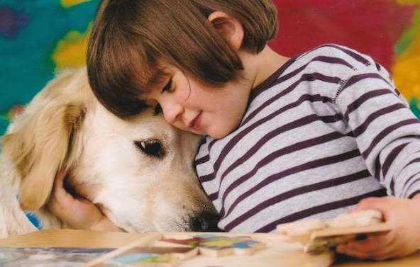 Portes ouvertes au centre Handi’Chiens en Val-de-Loire