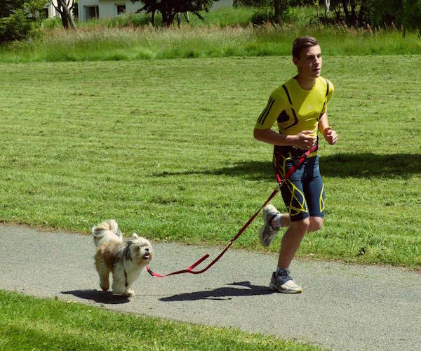 My Djogg : une application pour courir avec son chien