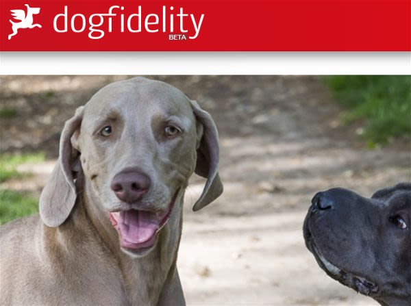 DogFidelity, un Facebook pour les chiens